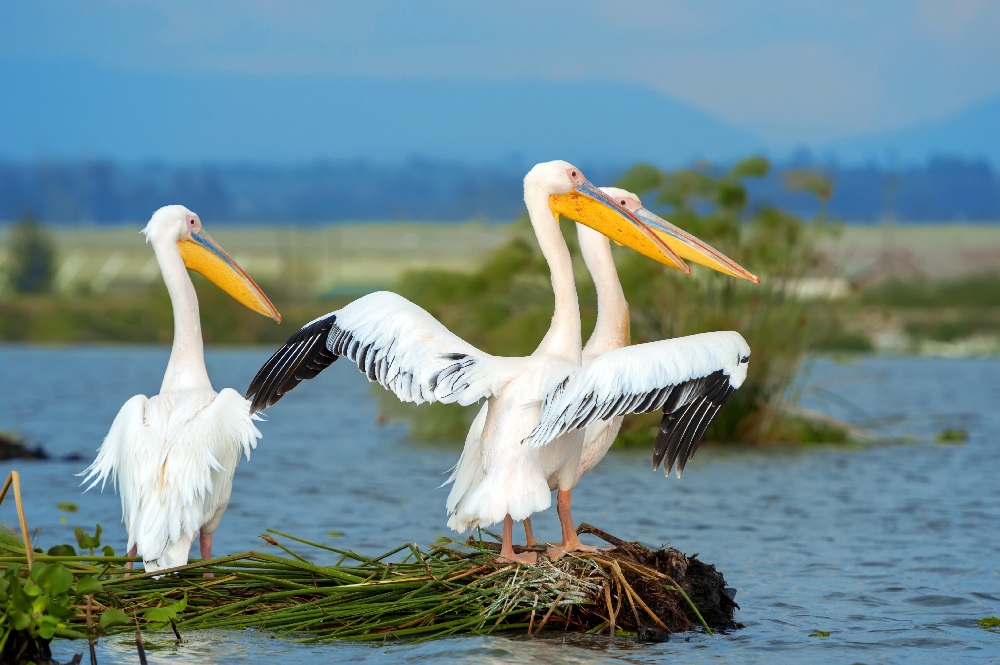 Best Places To Visit In Florida For Nature Lovers